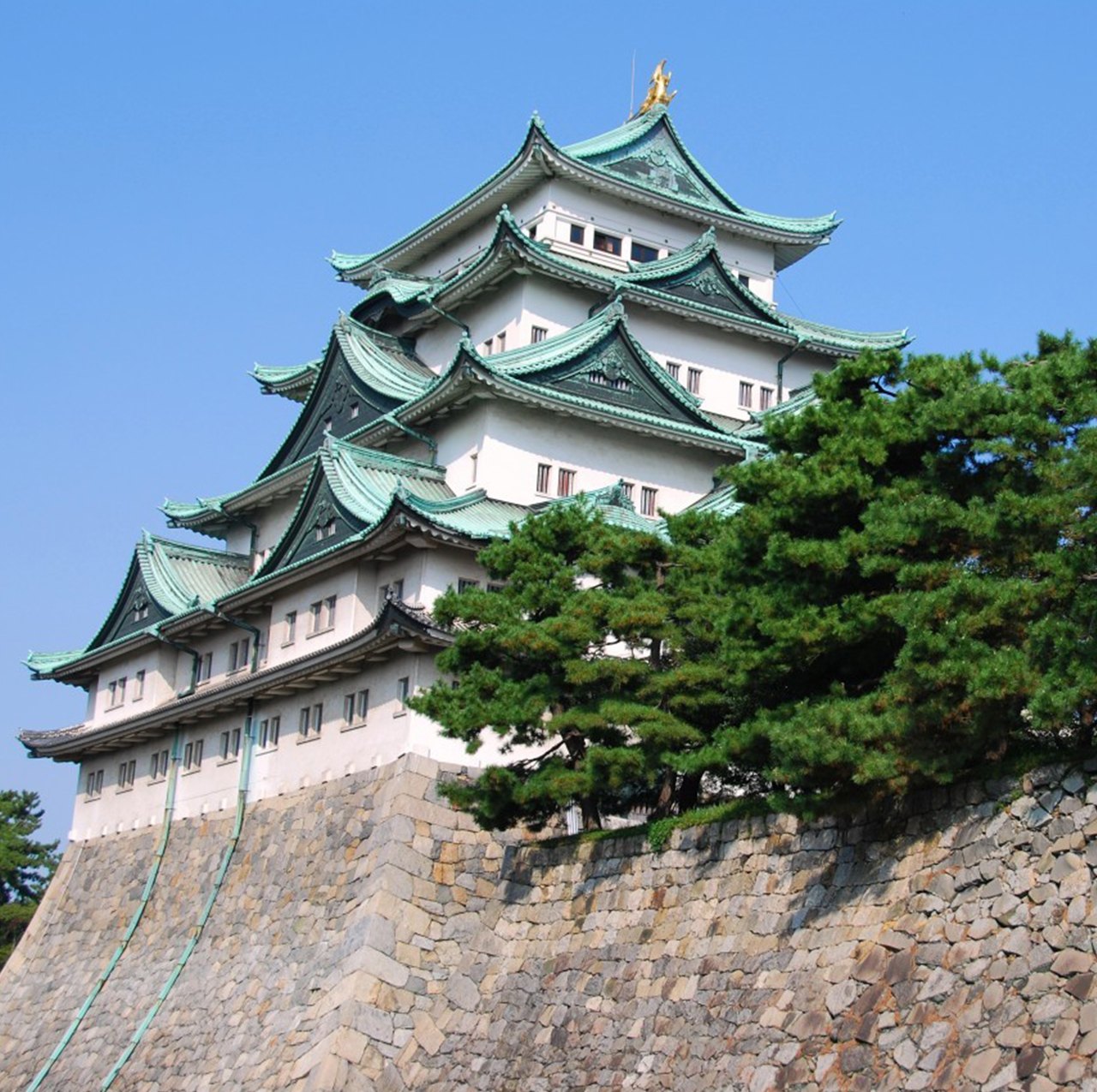 Таранага в японии. Нагойя. Nagoya Castle. Япония Нагойя замок. Нагоя музей Шинкасен.