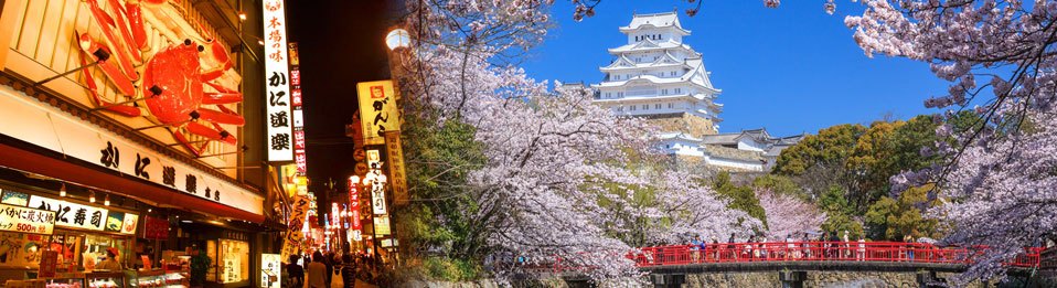 Explore Japan Tour Banner Image