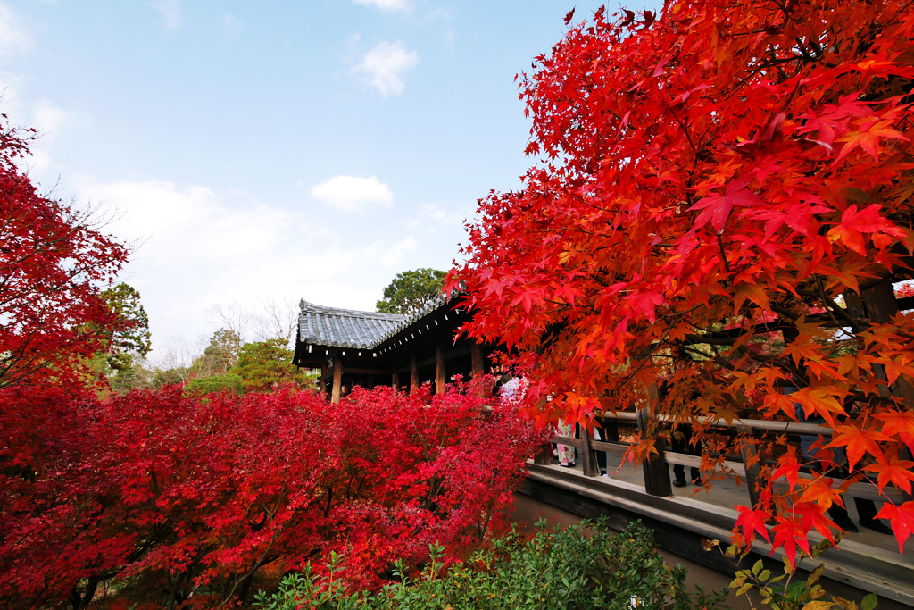 6 Hidden Gem Temples in Kyoto